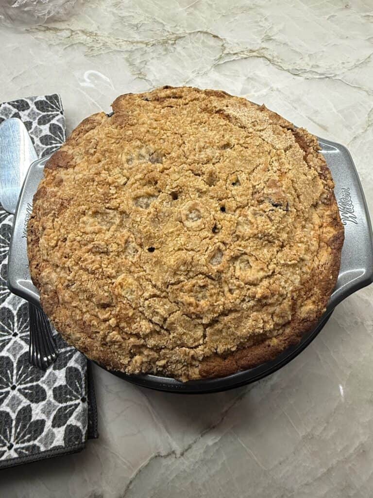 Freshly baked blueberry ricotta cake in pie dish, ready to serve with forks and napkin